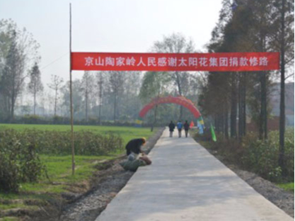 太阳花捐资湖北京山 用爱心铺就温暖大道